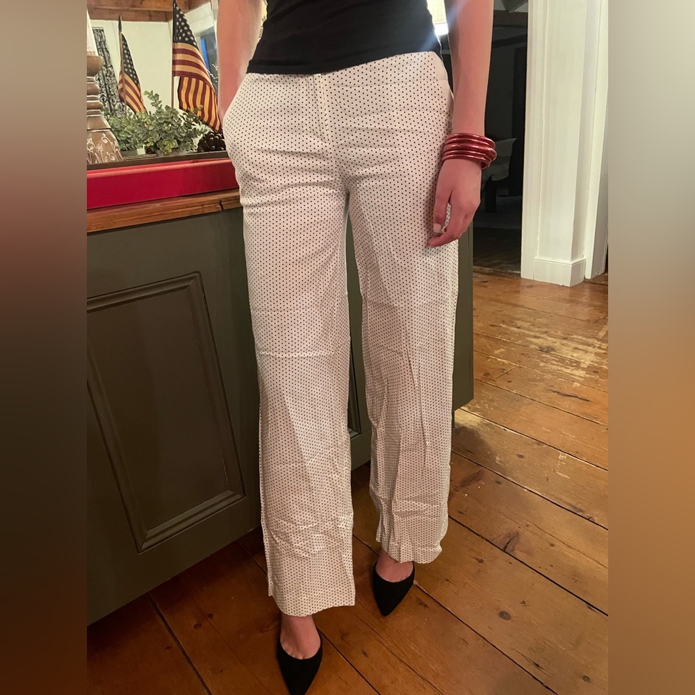 Polka Dot Dress Pants